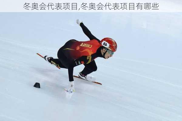 冬奥会代表项目,冬奥会代表项目有哪些