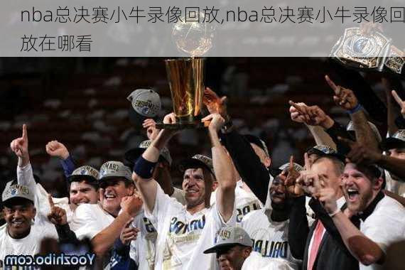 nba总决赛小牛录像回放,nba总决赛小牛录像回放在哪看
