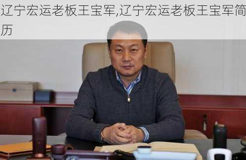 辽宁宏运老板王宝军,辽宁宏运老板王宝军简历