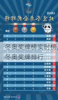 冬奥奖牌榜实时榜,冬奥奖牌排行
