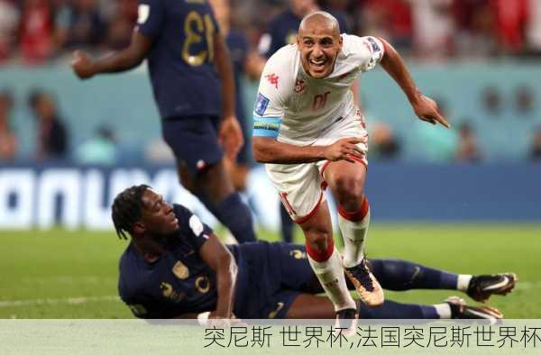 突尼斯 世界杯,法国突尼斯世界杯