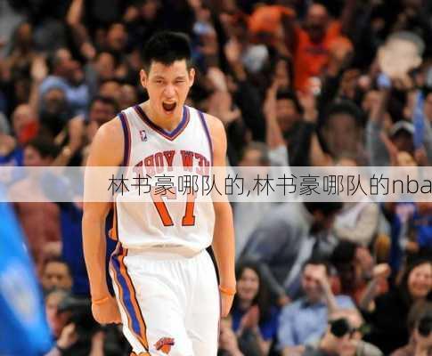 林书豪哪队的,林书豪哪队的nba