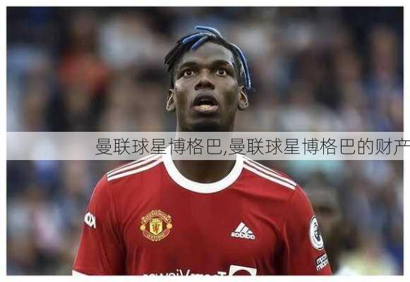 曼联球星博格巴,曼联球星博格巴的财产