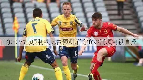 首尔FCvs浦项制铁比赛预测,首尔fcvs浦项制铁直播