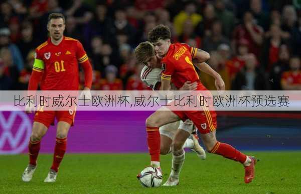 比利时威尔士欧洲杯,威尔士比利时欧洲杯预选赛