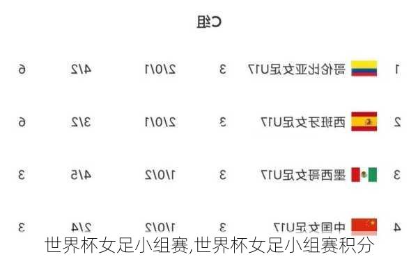 世界杯女足小组赛,世界杯女足小组赛积分