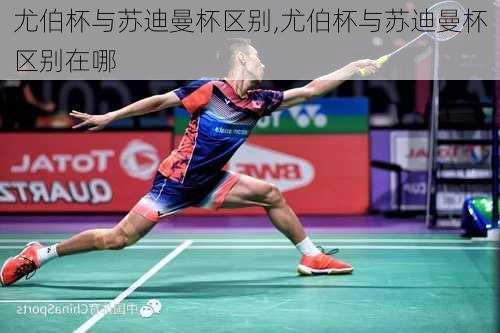 尤伯杯与苏迪曼杯区别,尤伯杯与苏迪曼杯区别在哪