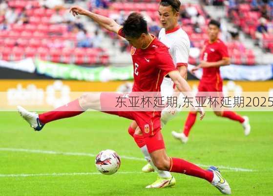 东亚杯延期,东亚杯延期2025