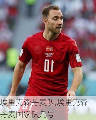 埃里克森丹麦队,埃里克森丹麦国家队几号
