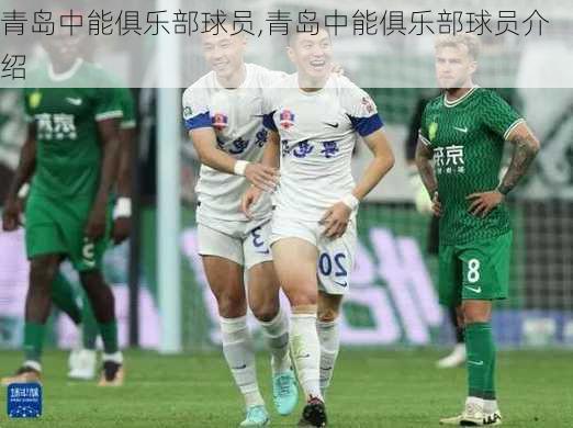 青岛中能俱乐部球员,青岛中能俱乐部球员介绍