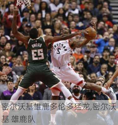 密尔沃基雄鹿多伦多猛龙,密尔沃基 雄鹿队