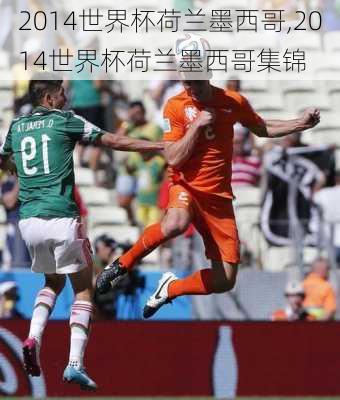 2014世界杯荷兰墨西哥,2014世界杯荷兰墨西哥集锦
