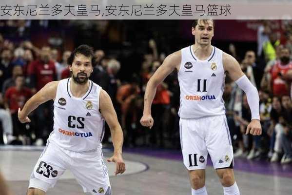 安东尼兰多夫皇马,安东尼兰多夫皇马篮球