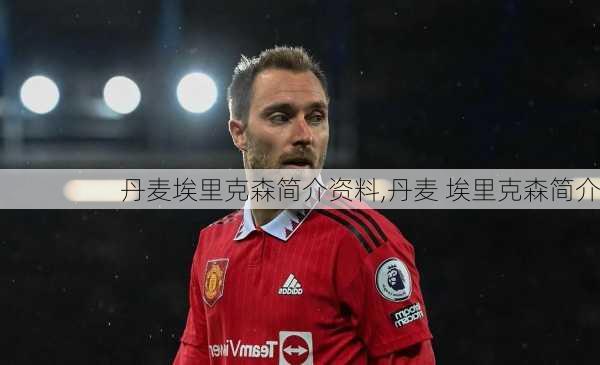 丹麦埃里克森简介资料,丹麦 埃里克森简介