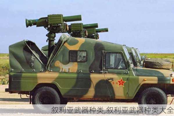 叙利亚武器种类,叙利亚武器种类大全