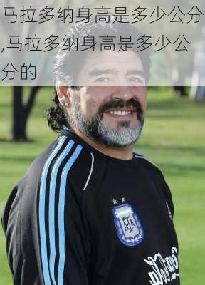 马拉多纳身高是多少公分,马拉多纳身高是多少公分的
