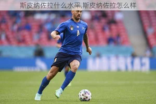 斯皮纳佐拉什么水平,斯皮纳佐拉怎么样