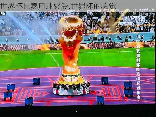 世界杯比赛用球感受,世界杯的感觉