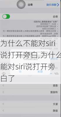 为什么不能对siri说打开旁白,为什么不能对siri说打开旁白了