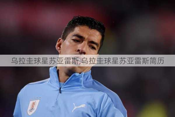 乌拉圭球星苏亚雷斯,乌拉圭球星苏亚雷斯简历