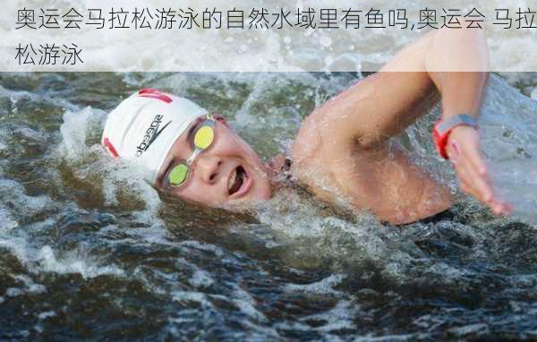 奥运会马拉松游泳的自然水域里有鱼吗,奥运会 马拉松游泳