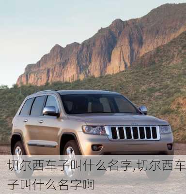 切尔西车子叫什么名字,切尔西车子叫什么名字啊