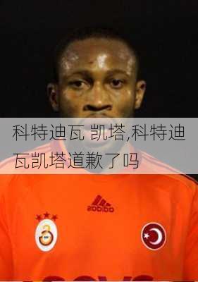 科特迪瓦 凯塔,科特迪瓦凯塔道歉了吗