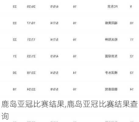 鹿岛亚冠比赛结果,鹿岛亚冠比赛结果查询