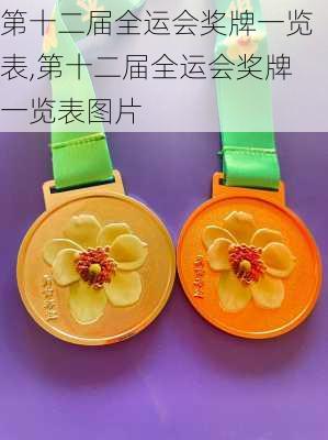 第十二届全运会奖牌一览表,第十二届全运会奖牌一览表图片