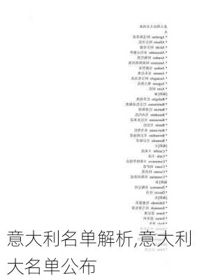 意大利名单解析,意大利大名单公布