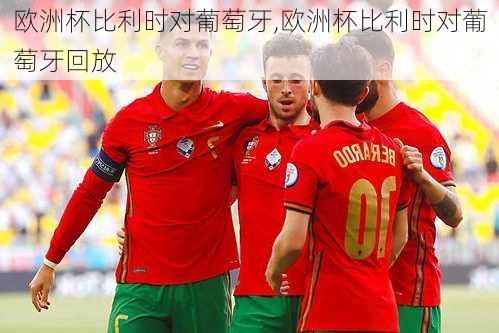 欧洲杯比利时对葡萄牙,欧洲杯比利时对葡萄牙回放