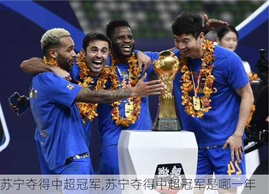 苏宁夺得中超冠军,苏宁夺得中超冠军是哪一年