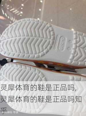 灵犀体育的鞋是正品吗,灵犀体育的鞋是正品吗知乎