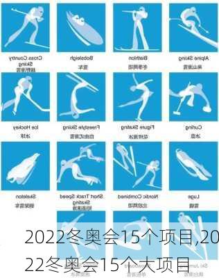 2022冬奥会15个项目,2022冬奥会15个大项目