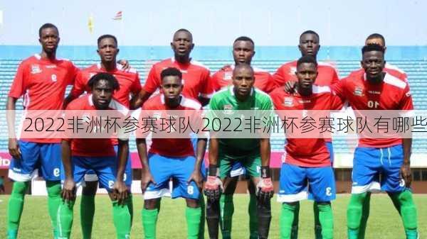2022非洲杯参赛球队,2022非洲杯参赛球队有哪些
