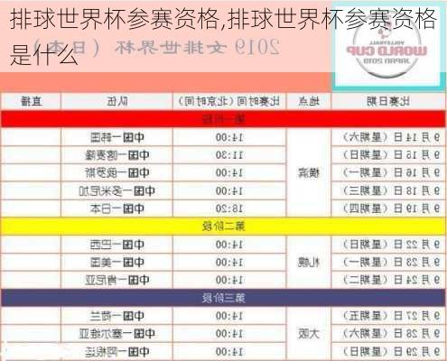 排球世界杯参赛资格,排球世界杯参赛资格是什么