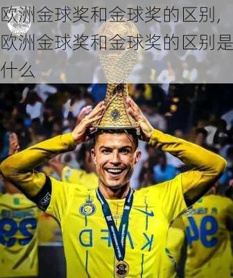 欧洲金球奖和金球奖的区别,欧洲金球奖和金球奖的区别是什么