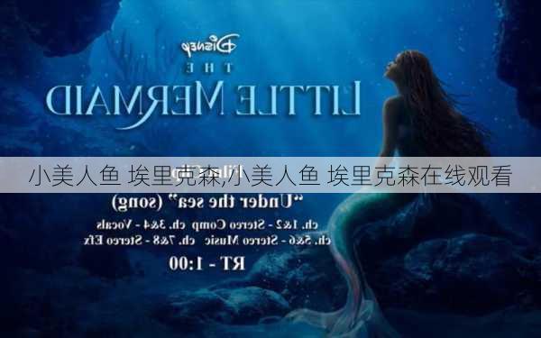 小美人鱼 埃里克森,小美人鱼 埃里克森在线观看