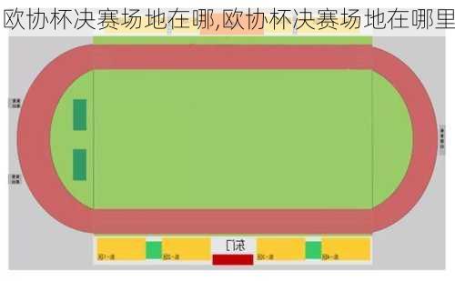 欧协杯决赛场地在哪,欧协杯决赛场地在哪里