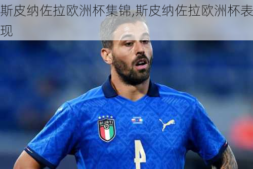 斯皮纳佐拉欧洲杯集锦,斯皮纳佐拉欧洲杯表现