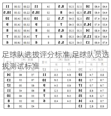 足球队选拔评分标准,足球队员选拔测试标准