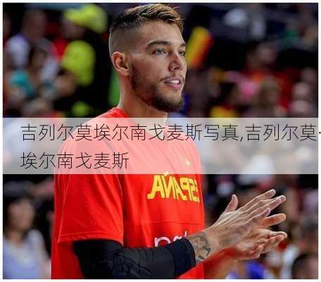 吉列尔莫埃尔南戈麦斯写真,吉列尔莫·埃尔南戈麦斯