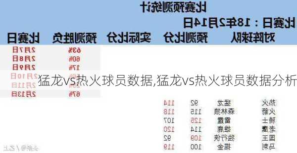 猛龙vs热火球员数据,猛龙vs热火球员数据分析