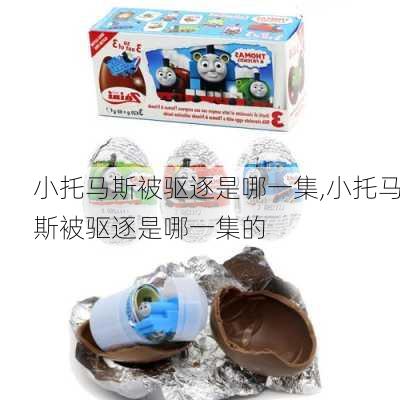 小托马斯被驱逐是哪一集,小托马斯被驱逐是哪一集的