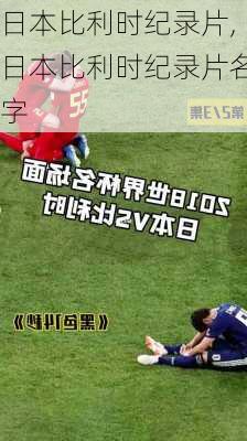 日本比利时纪录片,日本比利时纪录片名字