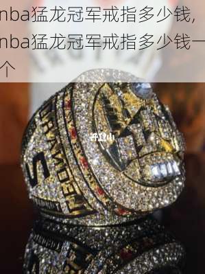 nba猛龙冠军戒指多少钱,nba猛龙冠军戒指多少钱一个
