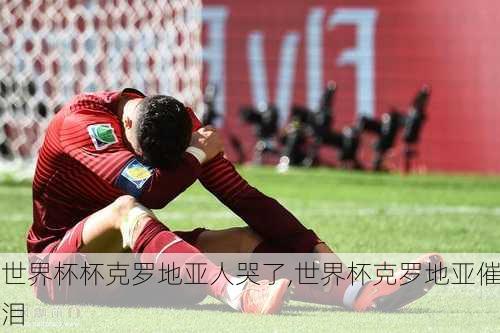 世界杯杯克罗地亚人哭了,世界杯克罗地亚催泪