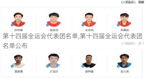 第十四届全运会代表团名单,第十四届全运会代表团名单公布