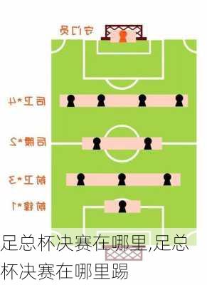 足总杯决赛在哪里,足总杯决赛在哪里踢