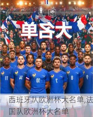 西班牙队欧洲杯大名单,法国队欧洲杯大名单